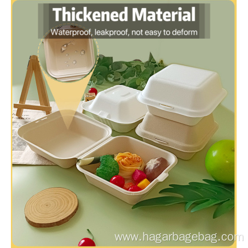 Sugarcane Biodegradable Bagasse Hamburger Takeaway Box